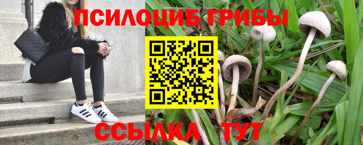 ГАШИШ  ГАШ  COCAIN  Вход с VPN  Долгопрудный  Каннабис  Мефедрон  